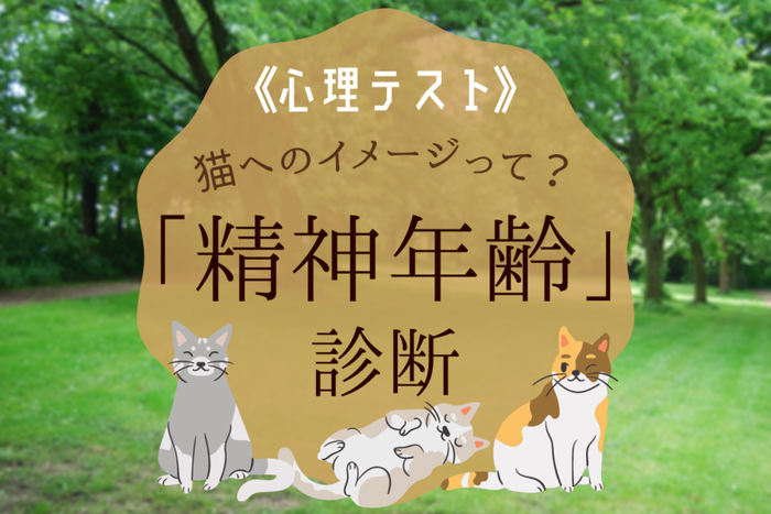 心理テスト 猫へのイメージであなたの 精神年齢 がわかっちゃう モデルプレス