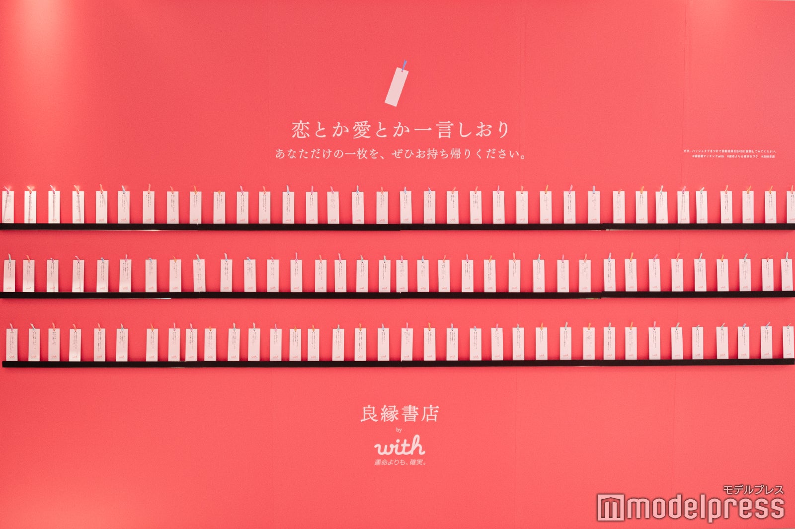 フォトジェニックな雰囲気も楽しめる（C）モデルプレス