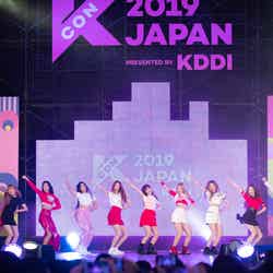 「KCON 2019 JAPAN」コンベンションエリアの様子（C） CJ ENM Co., Ltd, All Rights Reserved