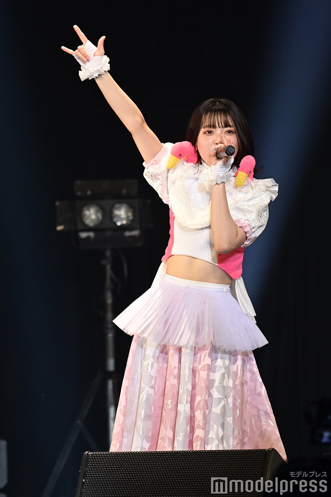 豆柴の大群（C）モデルプレス