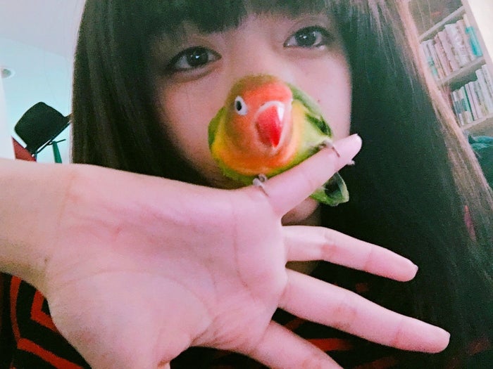 美女とペット 池田エライザとキエリボタンインコ ぴじょん のラブな関係がたまらない モデルプレス