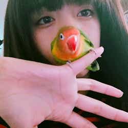 モデルプレス - 【美女とペット】池田エライザとキエリボタンインコ「ぴじょん」のラブな関係がたまらない