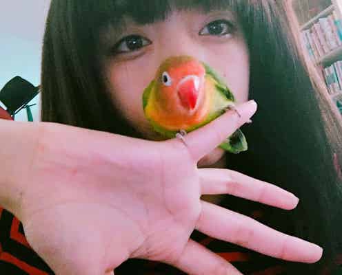 【美女とペット】池田エライザとキエリボタンインコ「ぴじょん」のラブな関係がたまらない