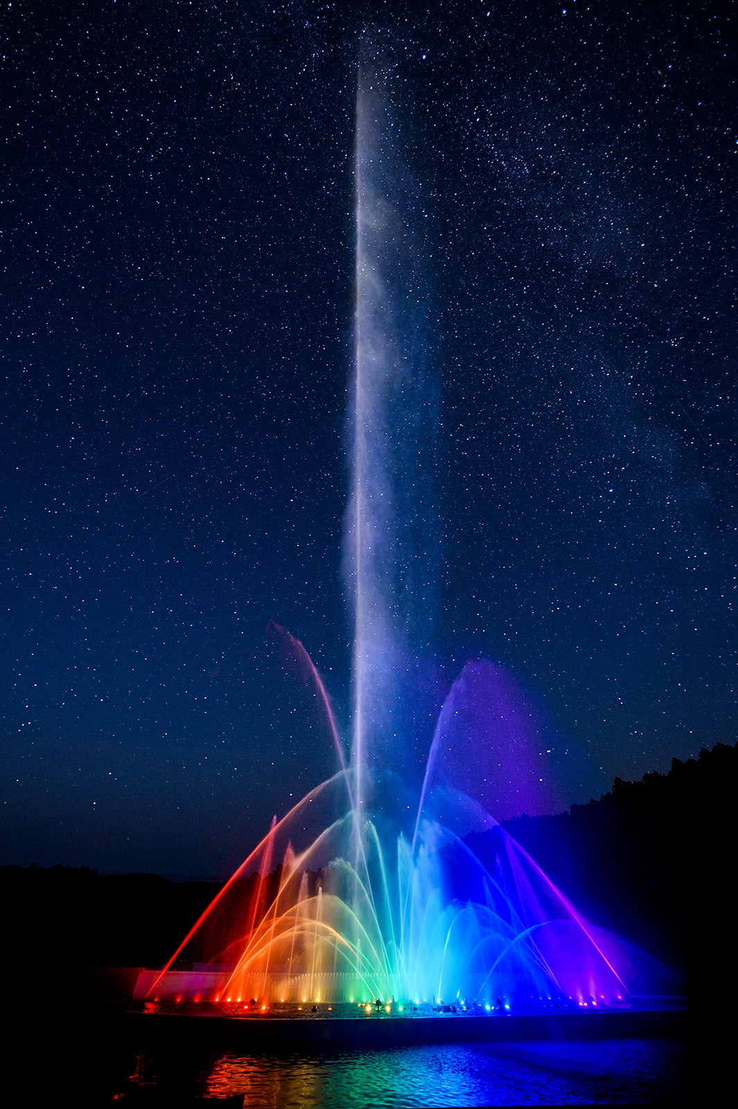 ヴェルサイユの光／画像提供：時之栖