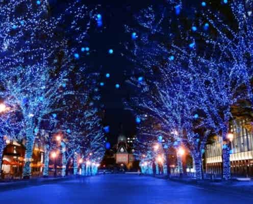 人気イルミ「青の洞窟」が札幌初上陸!「青の洞窟 SAPPORO」特別開催が決定