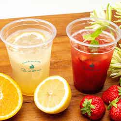 イチゴと紅茶のフルーテ、柑橘フルーツと煎茶のフルーテ各756円/画像提供:キルフェボン