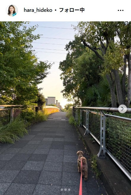 原日出子Instagramより