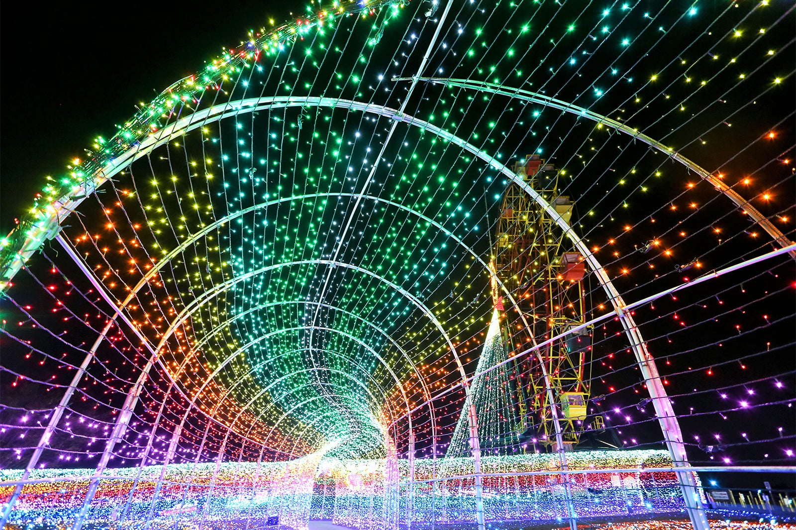 虹のトンネル／画像提供：東京ドイツ村