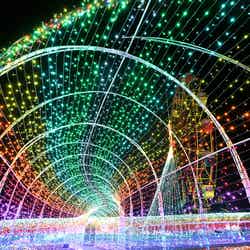 虹のトンネル／画像提供：東京ドイツ村