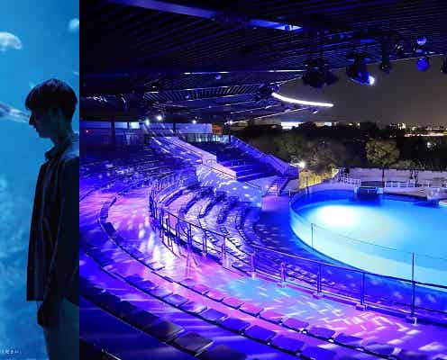 京都水族館「夜のすいぞくかん」幻想的な雰囲気と夜のいきものの姿を観察