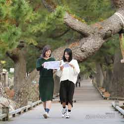 立派な松の木がそびえる、通称「神の道」と呼ばれる松並木。(C)モデルプレス