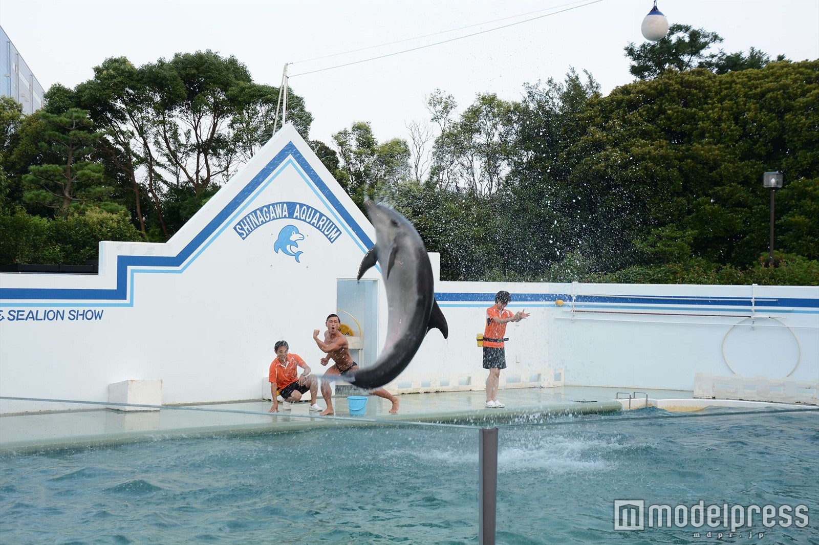 春日俊彰（C）モデルプレス