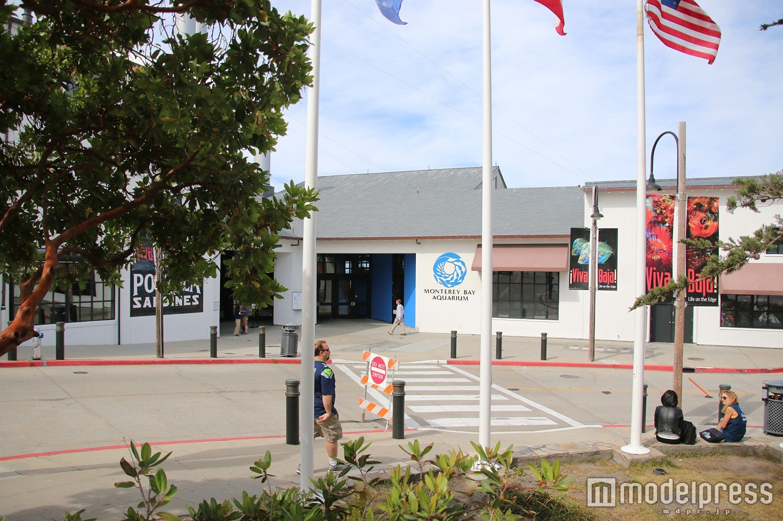 「モントレーベイ水族館」（C）モデルプレス