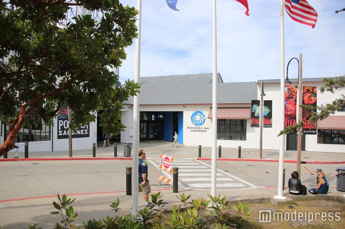 「モントレーベイ水族館」(C)モデルプレス