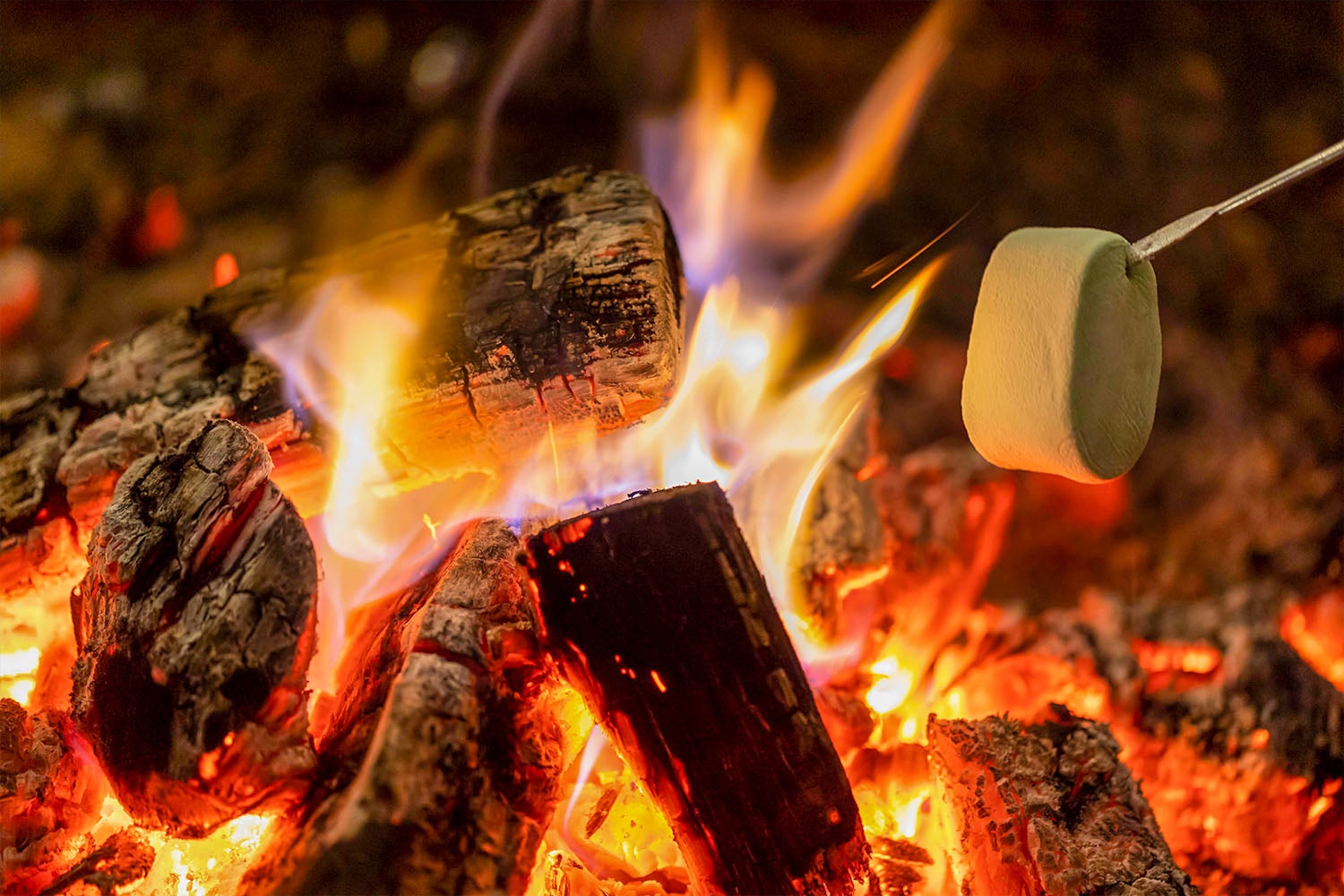 LE NIDO -ル・ニド-／画像提供：ブッキングリゾート