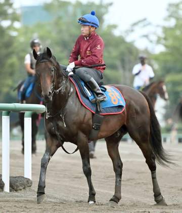 【関屋記念】アンパドゥ 素質開花をデータ後押し 昇級初戦で重賞初挑戦も出走予定馬で唯一の減点1