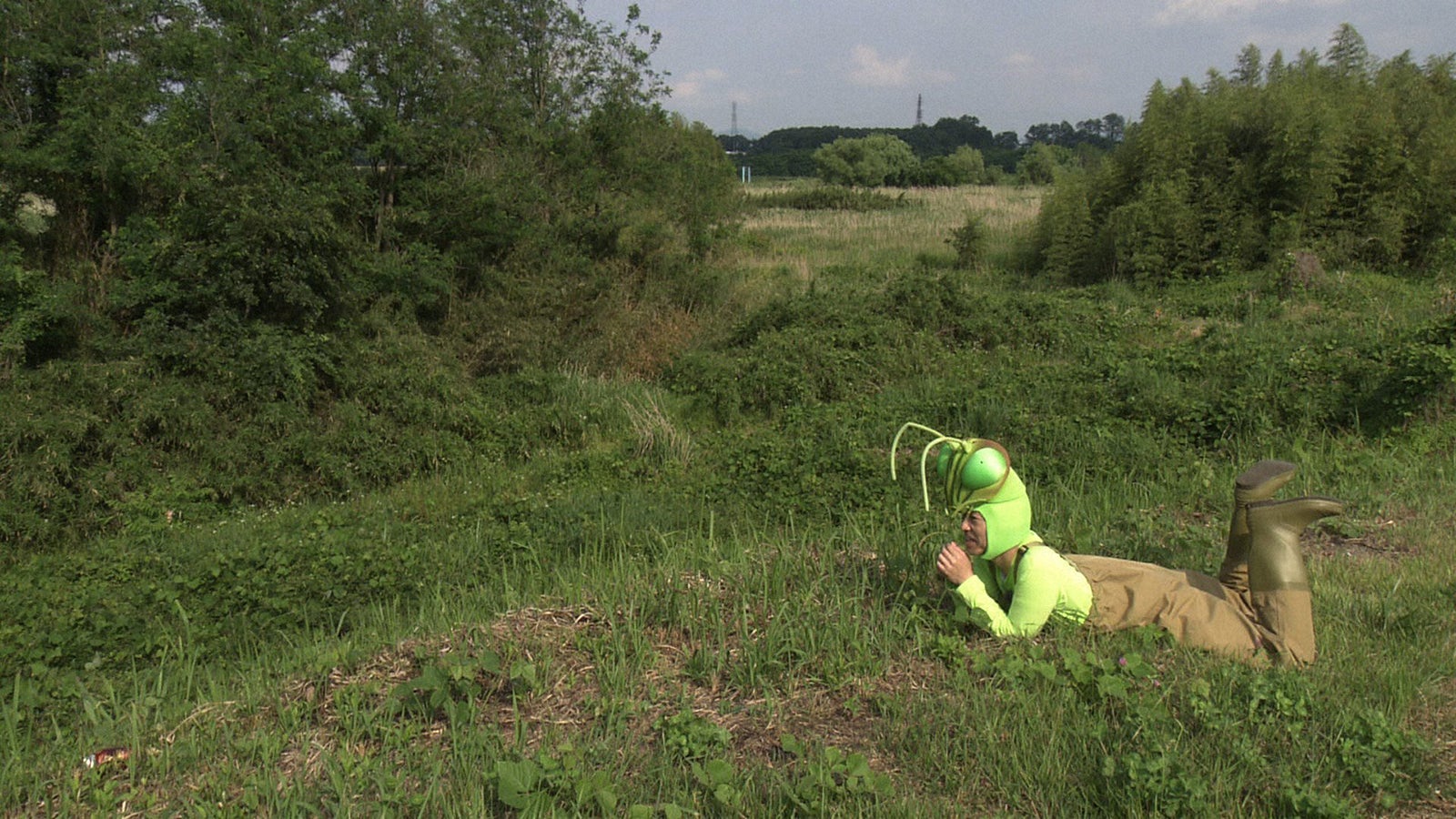 寄り道がすぎるカマキリ先生（C）NHK