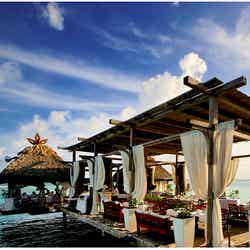 「Boca Marina」/「Boca Marina」オフィシャルサイトより