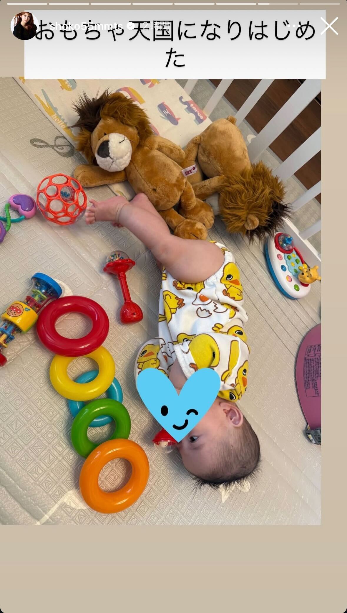 中川翔子Instagramストーリーズより