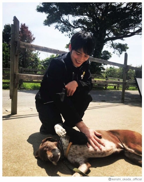 “犬と戯れる”岡田健史にファン悶絶「可愛すぎ」「癒やし」の声