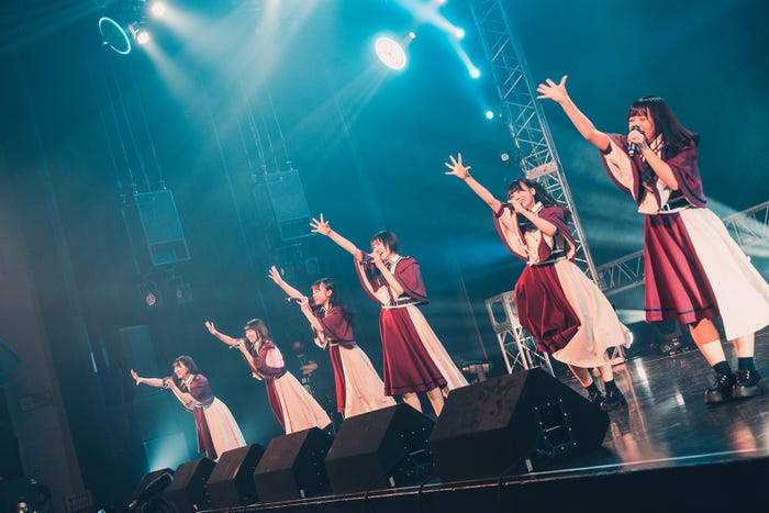 かすみ草とステラ/撮影:真島洸 (提供写真)