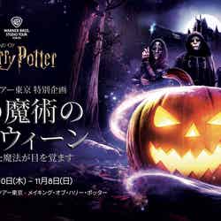 All characters and elements (C) & TM Warner Bros. Entertainment Inc. WB SHIELD: (C) & TM WBEI. Publishing Rights (C) JKR.