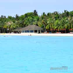 カニフィノールのビーチ(C)モデルプレス