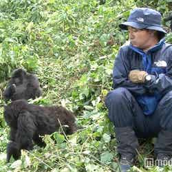 恐怖心が拭えない中、野生ゴリラとの会話に挑む濱田岳/画像提供:CBCテレビ