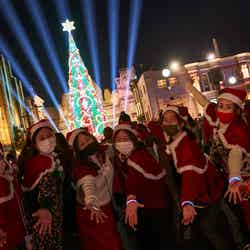 クリスマス・ツリー/提供画像:ユー・エス・ジェイ