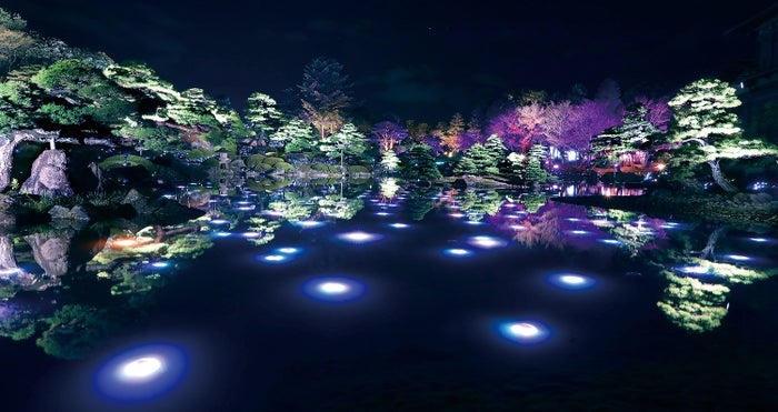 過去ライトアップ風景／画像提供：日本庭園 由志園