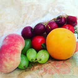 新鮮なフルーツ/画像提供:所属事務所