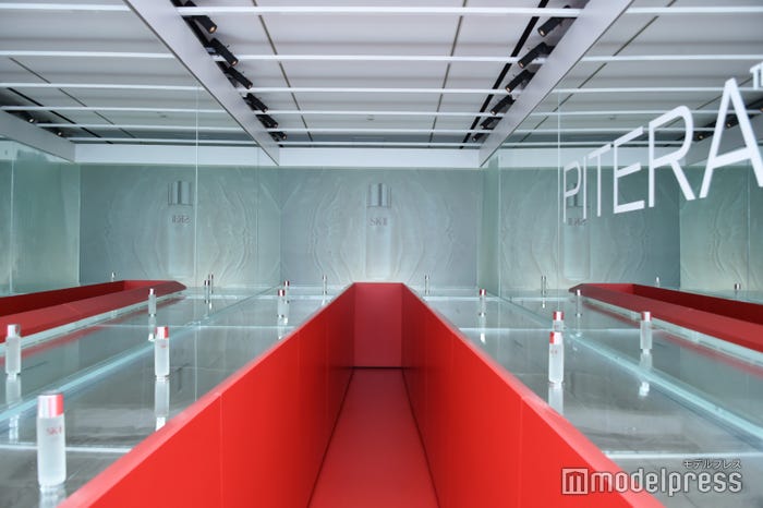 ピテラ(TM)の秘密(C)モデルプレス