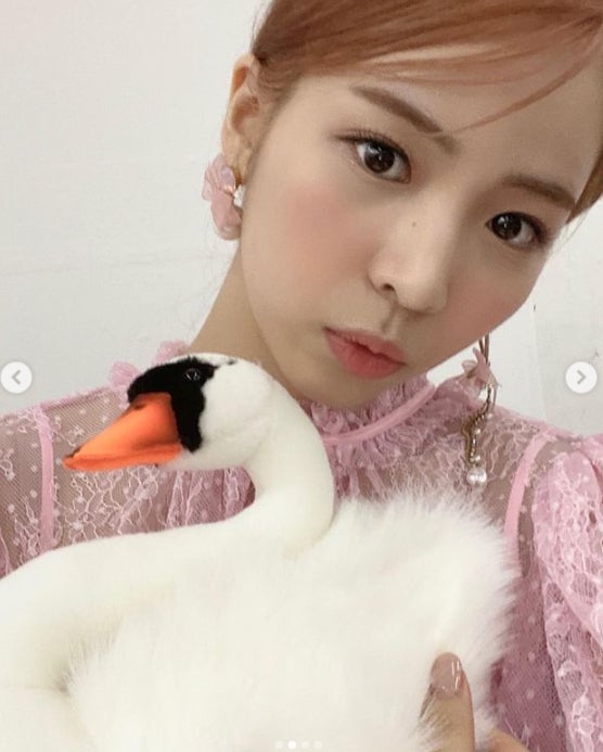 NiziUマヤ、メンバー表現したぬいぐるみとのオフショット公開「白鳥とのコラボ最高」と反響