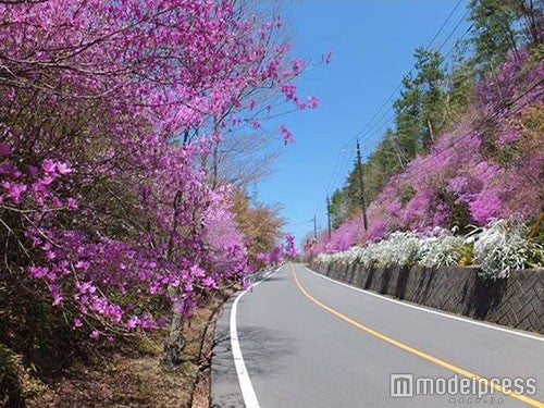 ／画像提供：阪急阪神ホールディングス