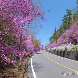 /画像提供:阪急阪神ホールディングス