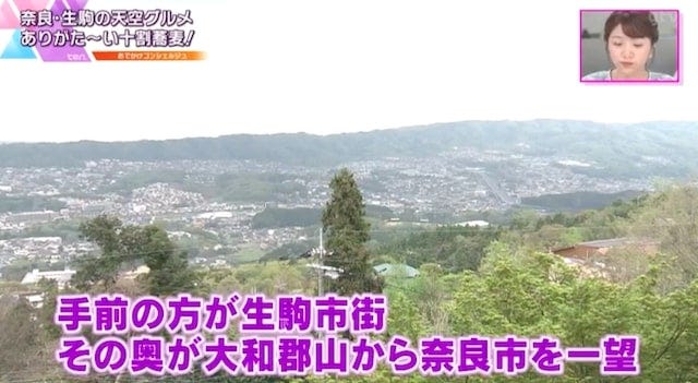 【絶景も♡】奈良・生駒で味わえる「ありがた～い十割蕎麦」とは？