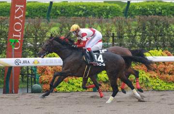 【藤森S】ゼットエール 休養挟み連勝 松本「万全でなくとも勝てるあたり能力が抜けている」今後はカペラSを視野に