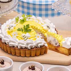 Summer Farm~北海道からの贈り物~/提供画像