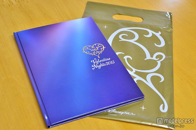 参加者に配られたオリジナルパンフレット