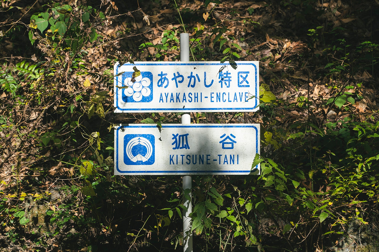 「鬼の花嫁」場面写真（C）2026「鬼の花嫁」製作委員会