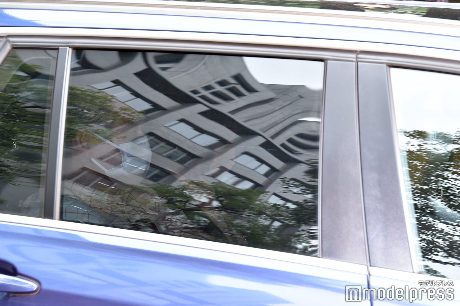 ＜独占＞桜井野の花、有罪判決受け心境告白 執行猶予付き懲役6ヶ月、追徴金4200万円