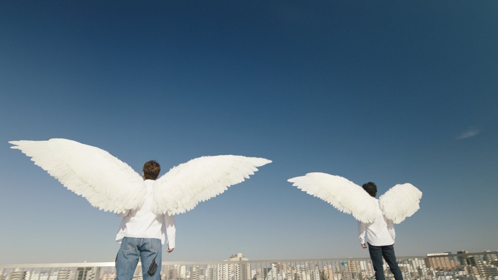 新テレビCM『生きてるっ！』篇より（提供写真）