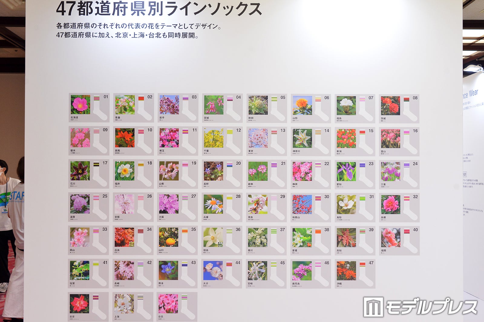 47都道府県別ラインソックス（C）モデルプレス