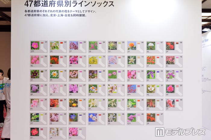 47都道府県別ラインソックス(C)モデルプレス