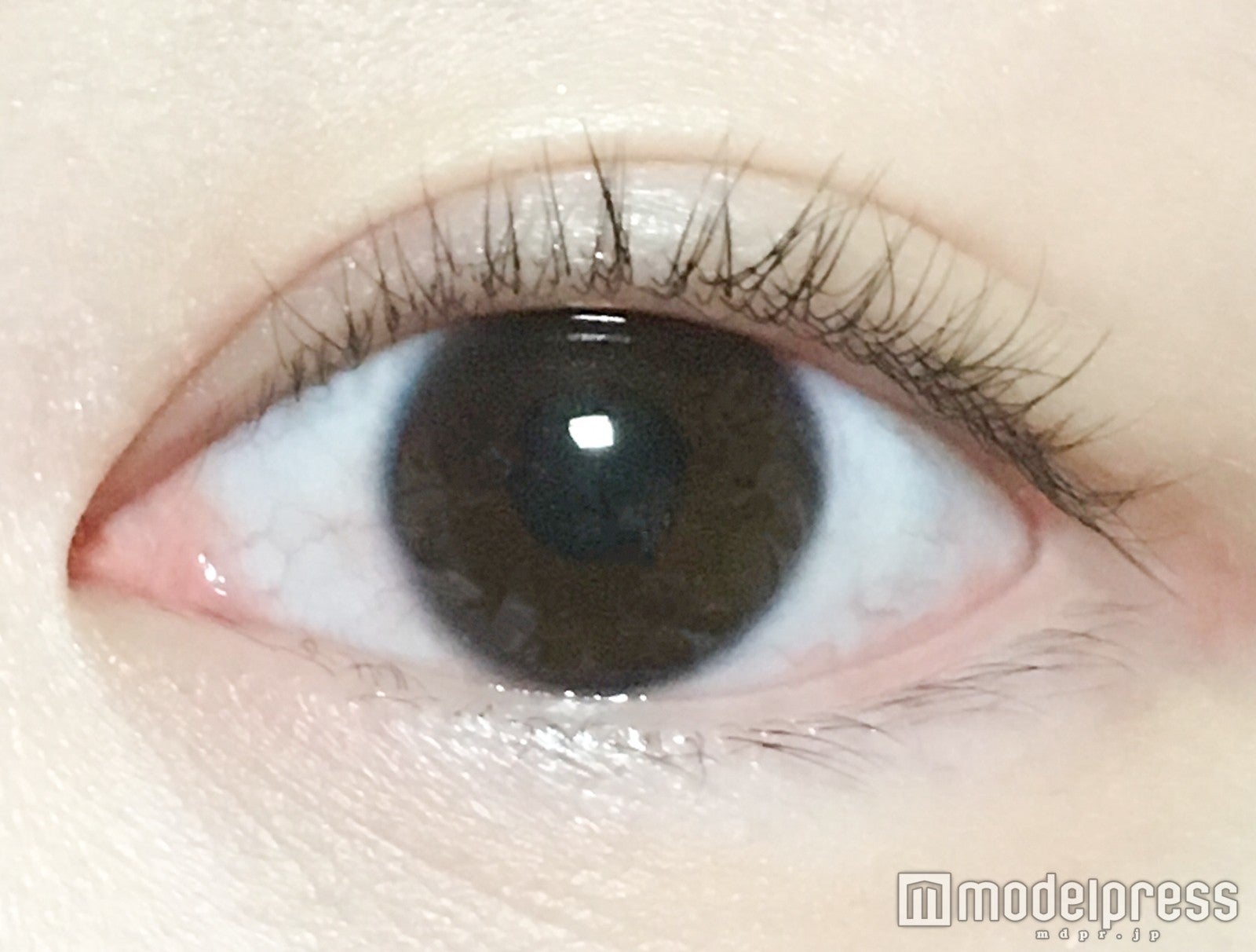 ノーメイク／写真：るん（C）モデルプレス