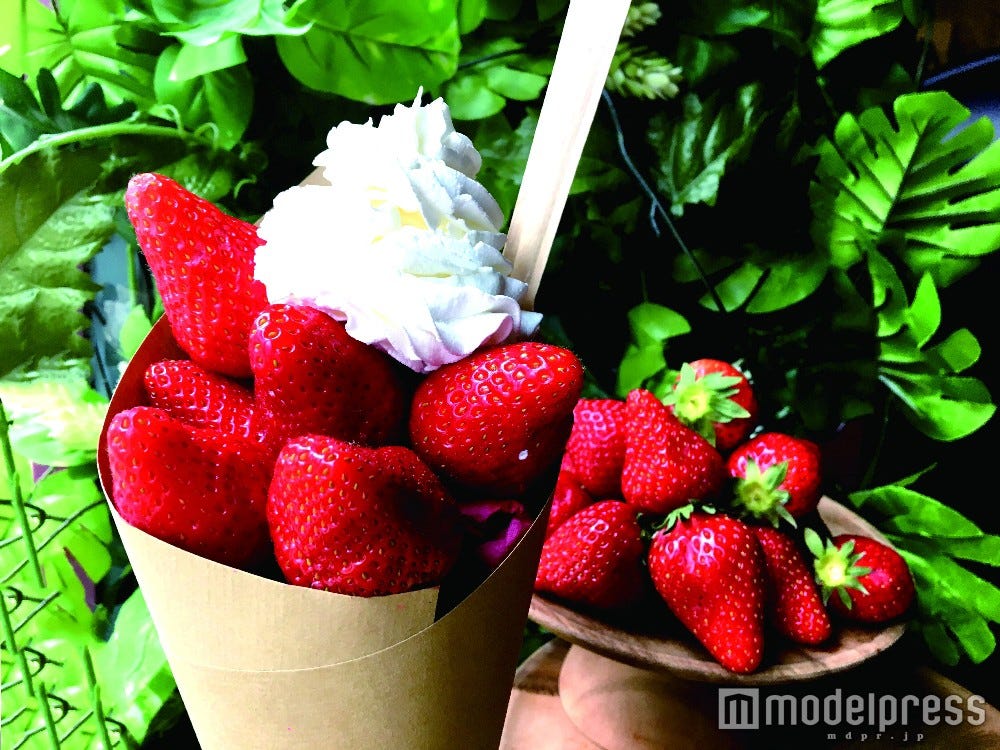 全部食べたい!北海道の流行最先端フードだらけの新スポットがアツい