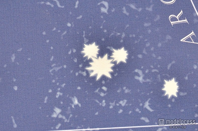 星座の天井画には隠れミッキーも