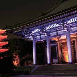 東長寺/画像提供:福岡市