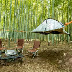 ハンモックテント/提供画像