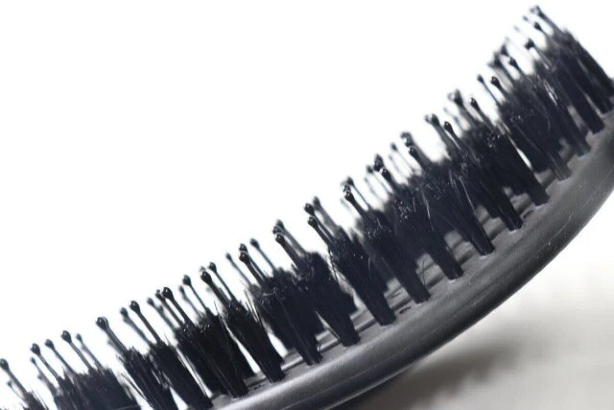 ダイソー　乾きやすいブローブラシ（豚毛付、22.8cm×8cm）